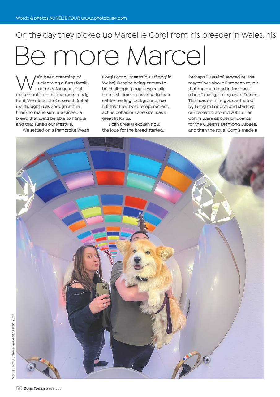 Dogs Today Magazine Preview Pages