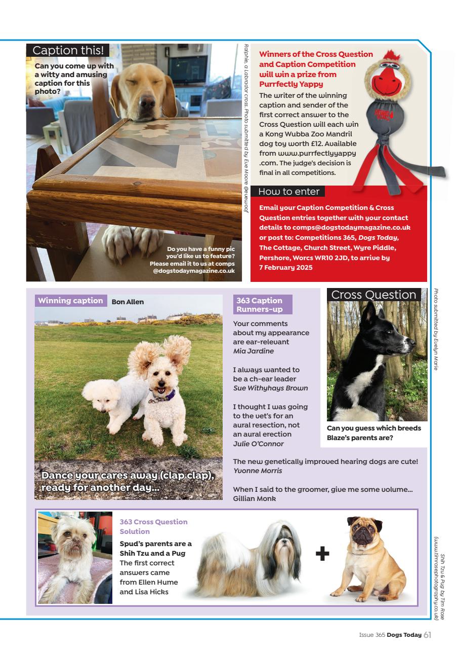 Dogs Today Magazine Preview Pages