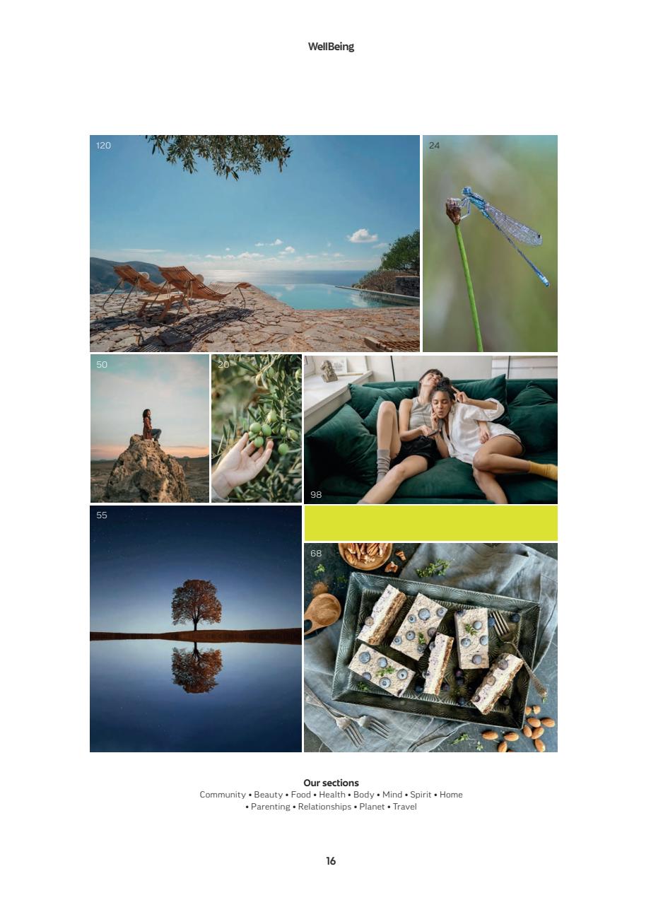 WellBeing Preview Pages