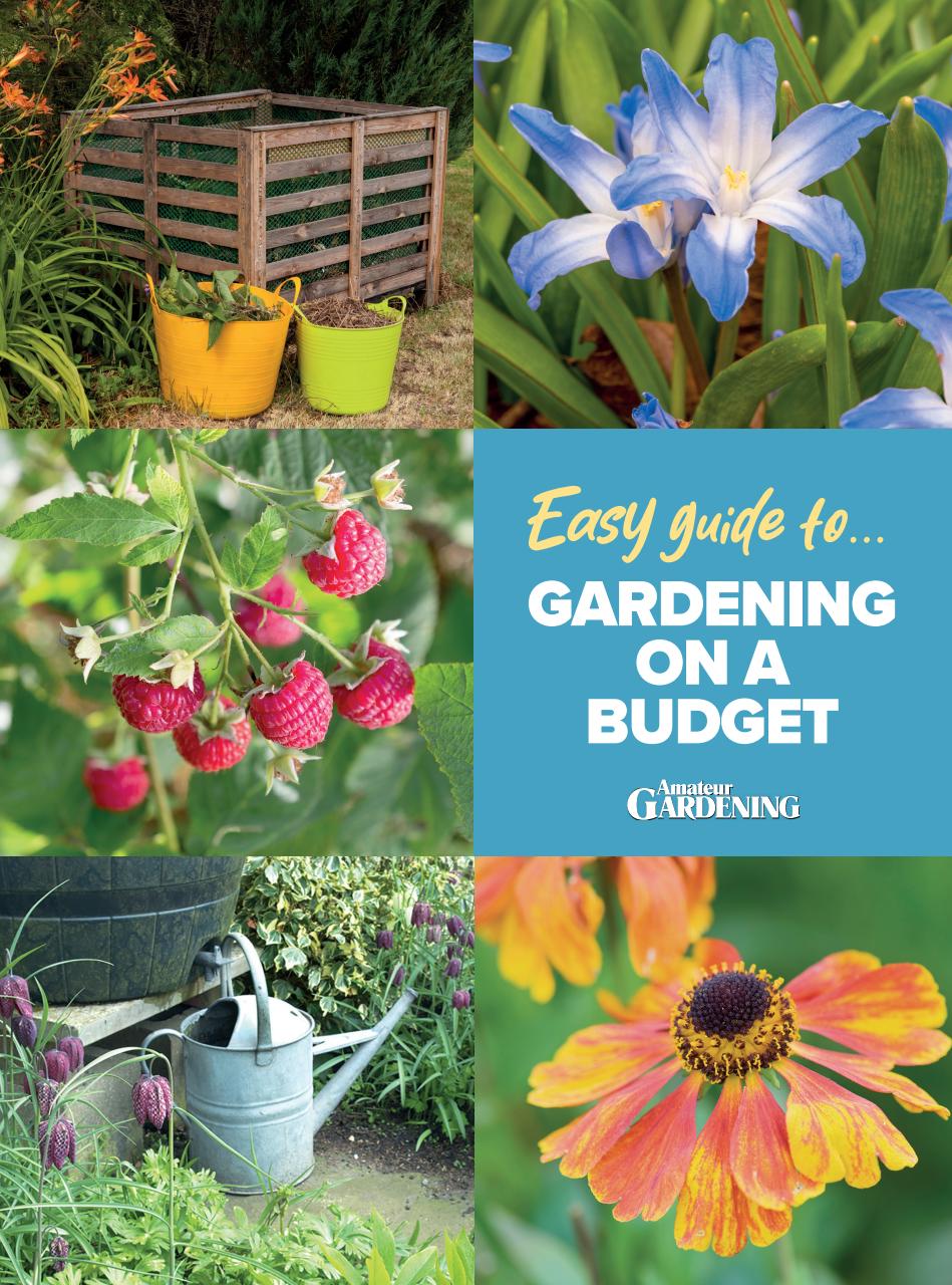 Amateur Gardening Preview Pages