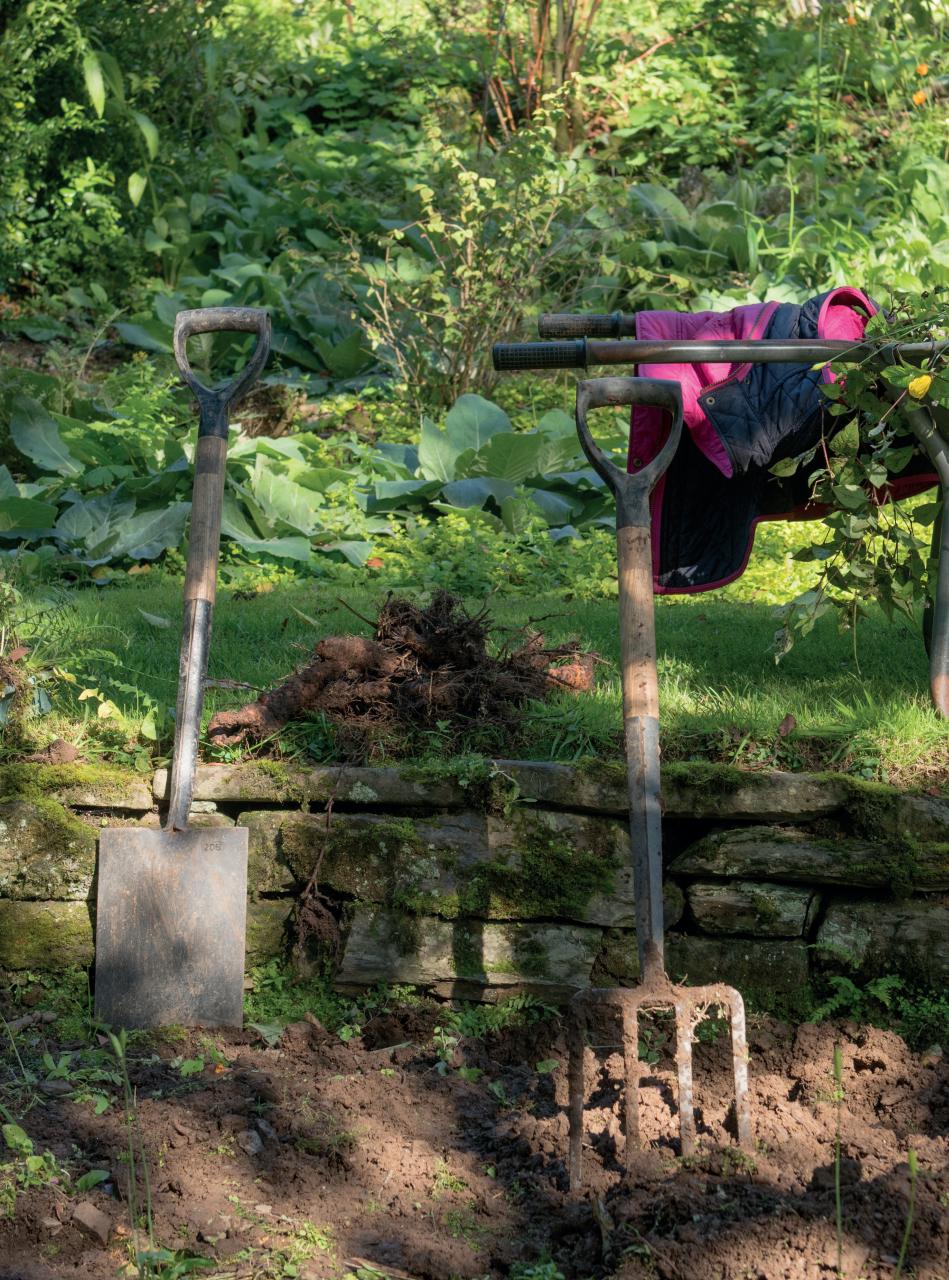 Amateur Gardening Preview Pages