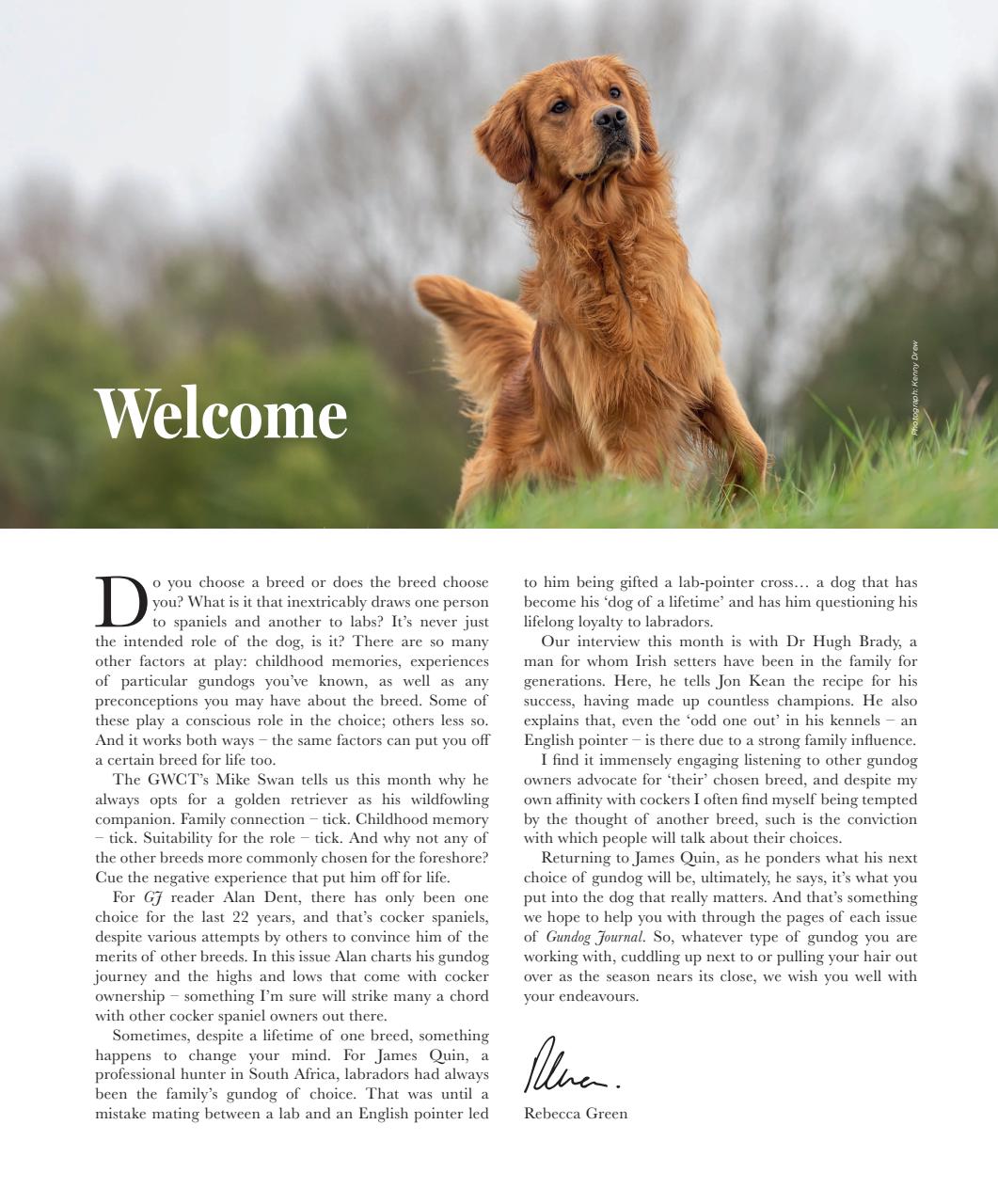 Gundog Journal Preview Pages