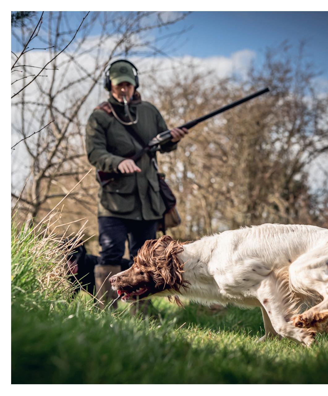 Gundog Journal Preview Pages
