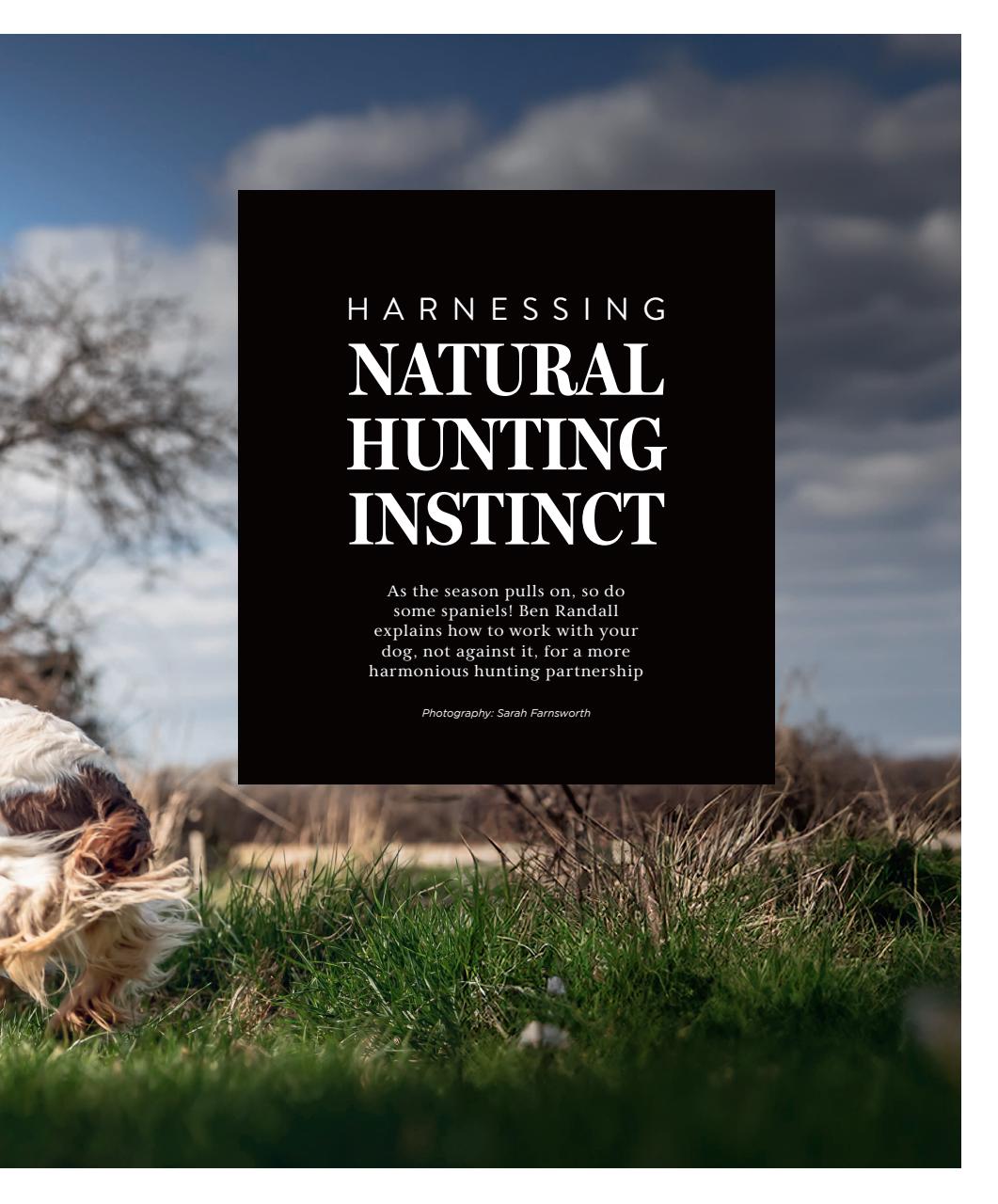 Gundog Journal Preview Pages