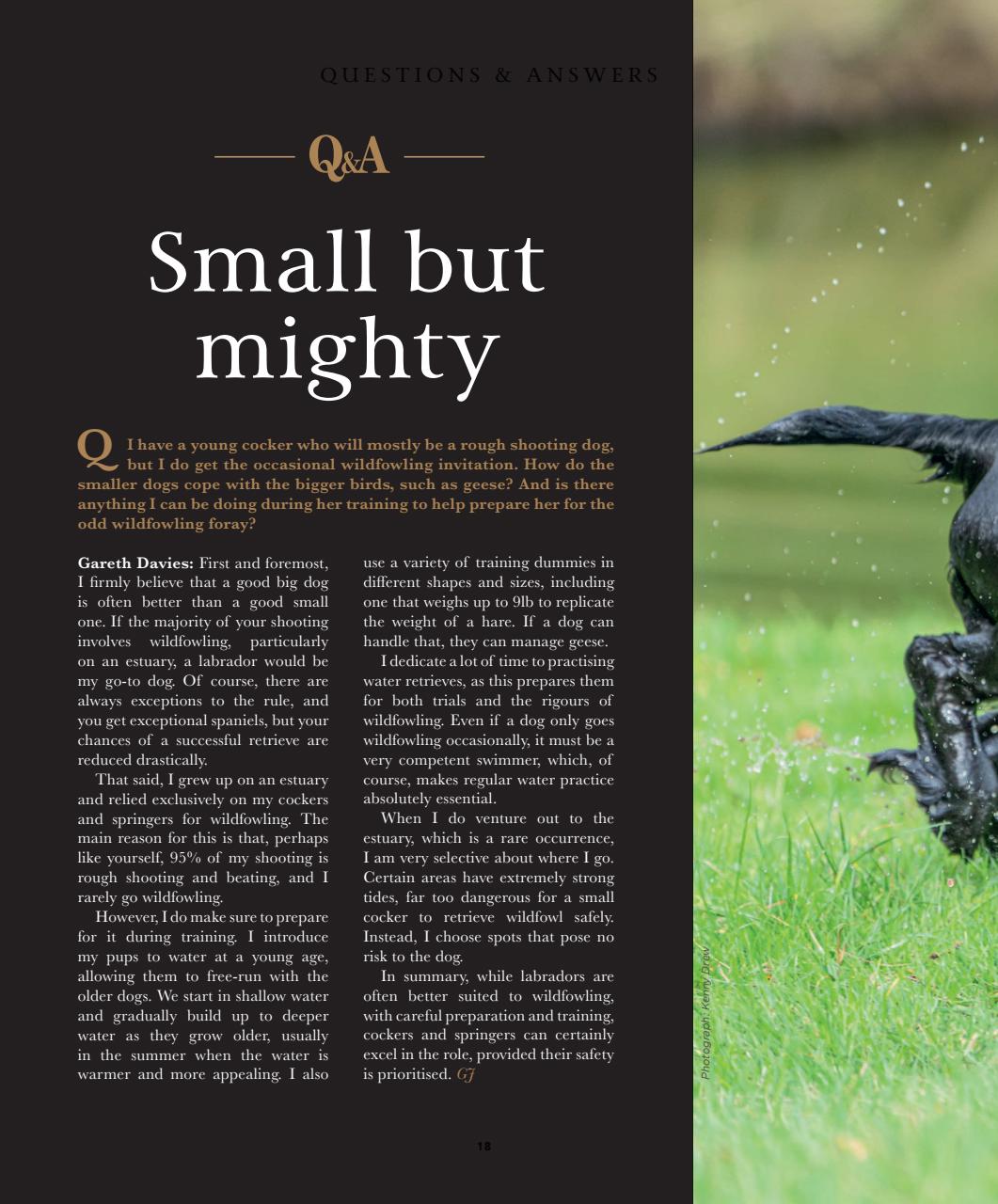 Gundog Journal Preview Pages