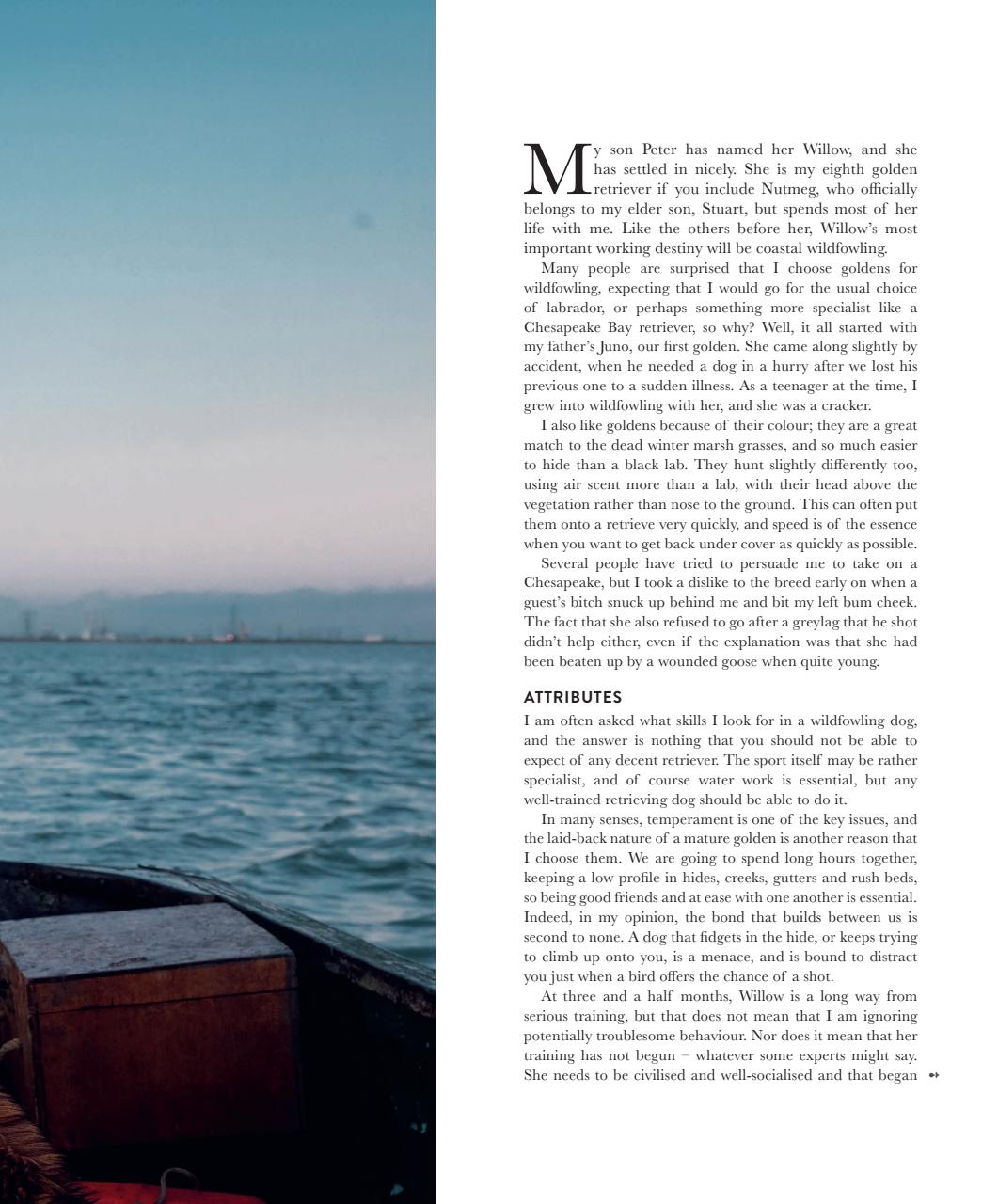 Gundog Journal Preview Pages