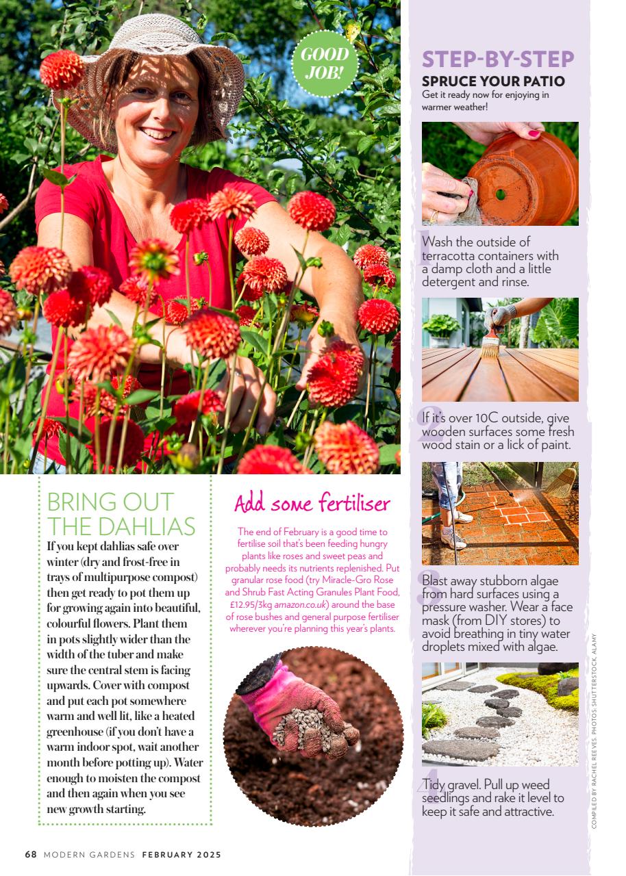 Modern Gardens Preview Pages