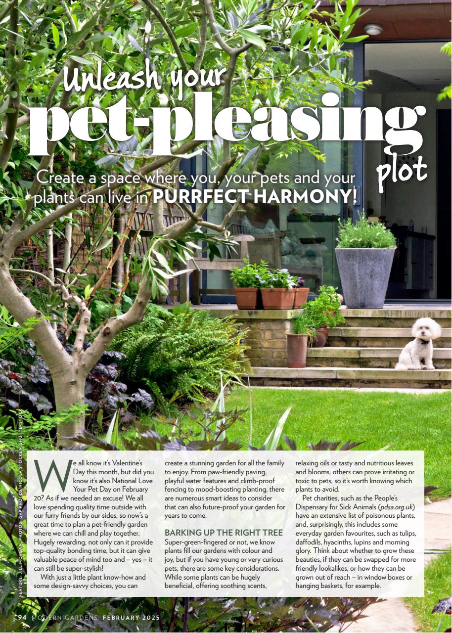 Modern Gardens Preview Pages