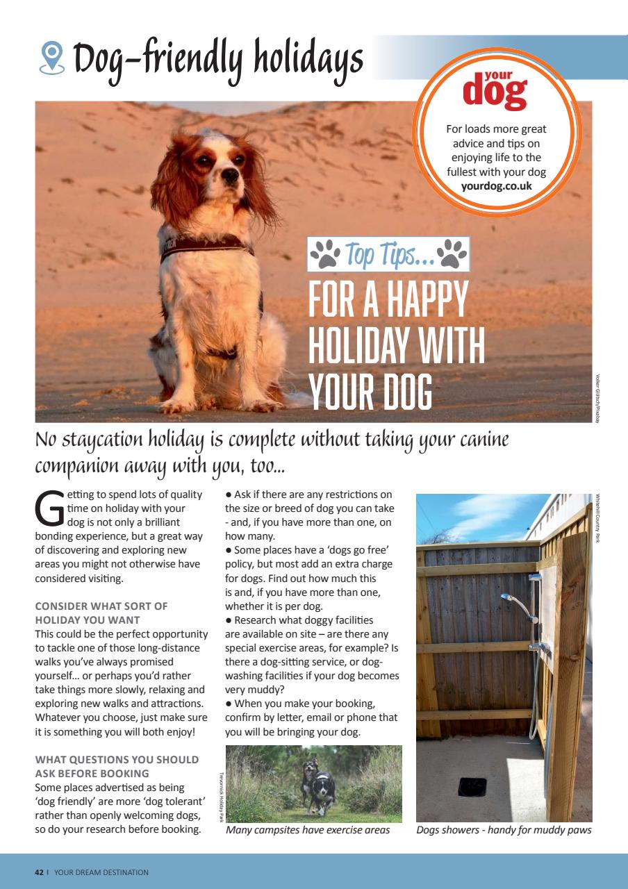 Camping Preview Pages