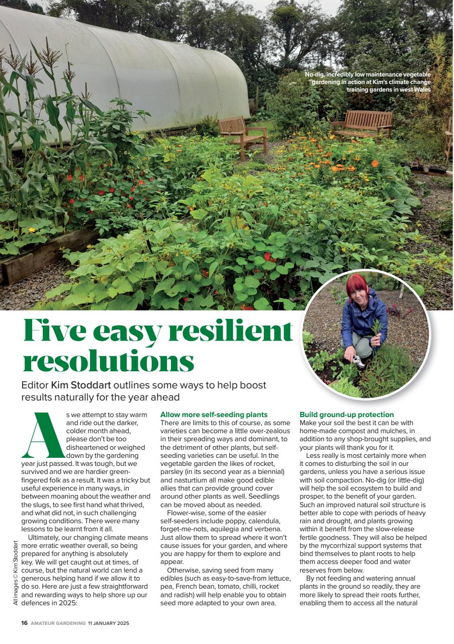 Amateur Gardening Preview Pages