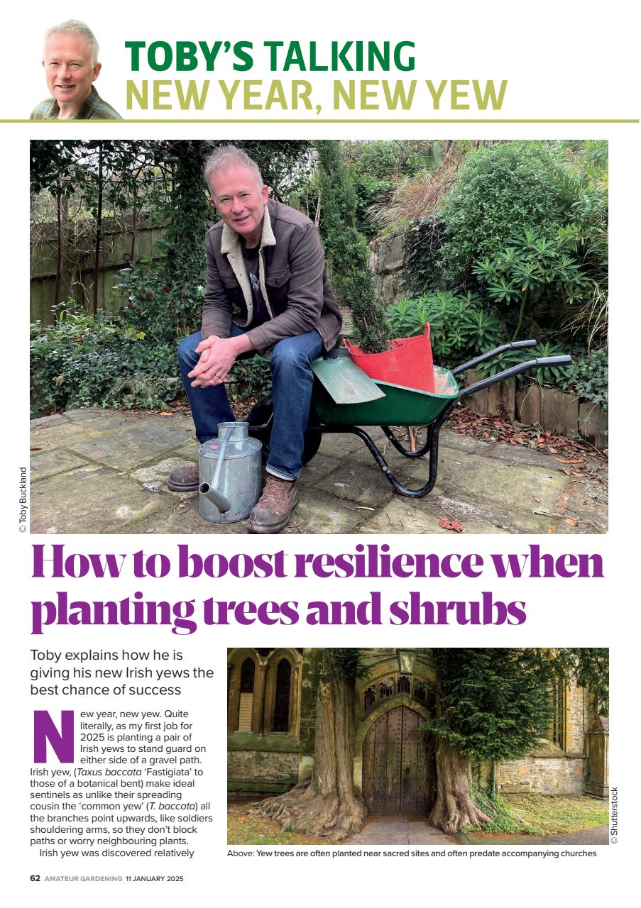 Amateur Gardening Preview Pages