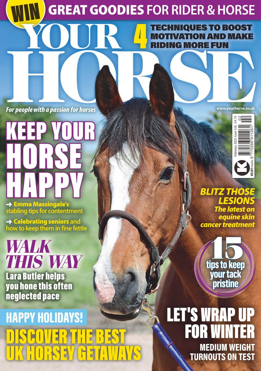 Your Horse Preview Pages