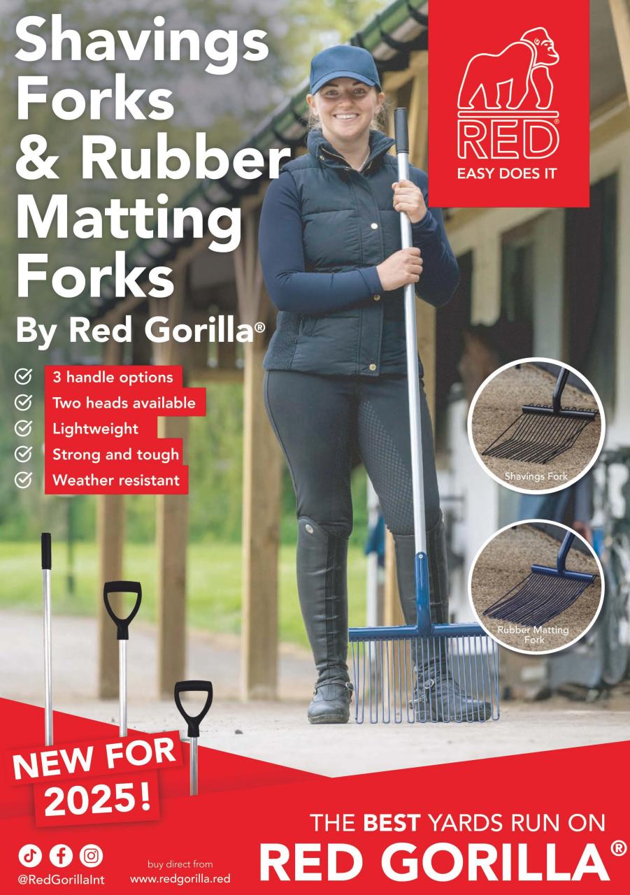 Your Horse Preview Pages