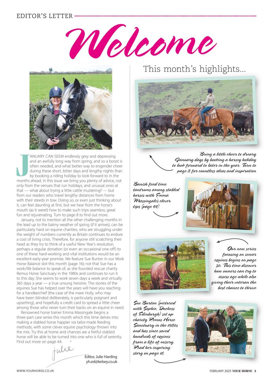 Your Horse Preview Pages