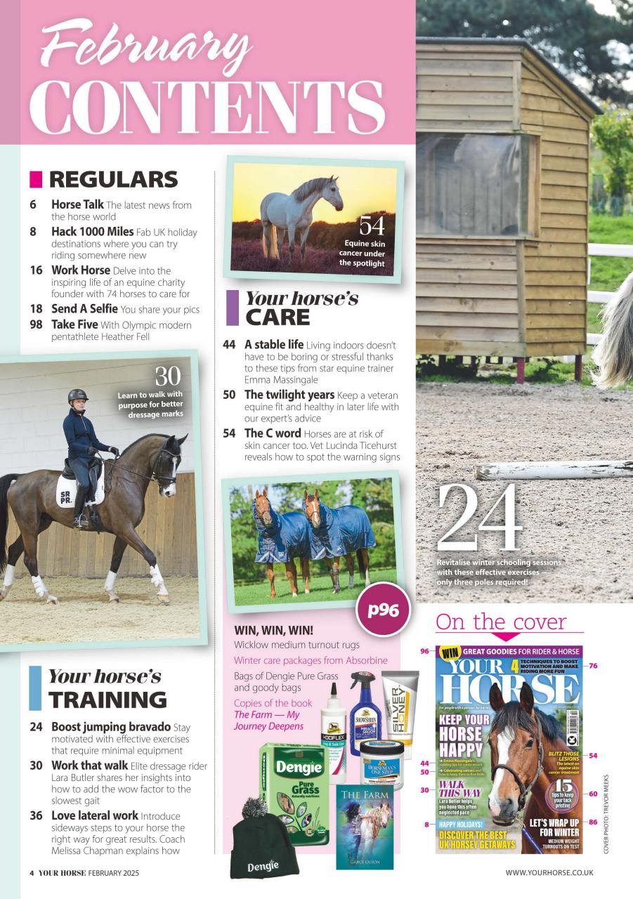 Your Horse Preview Pages