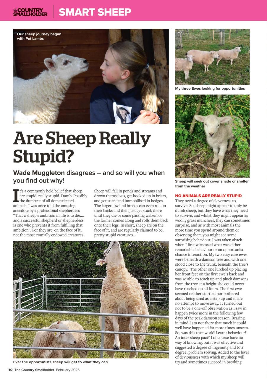 The Country Smallholder Preview Pages