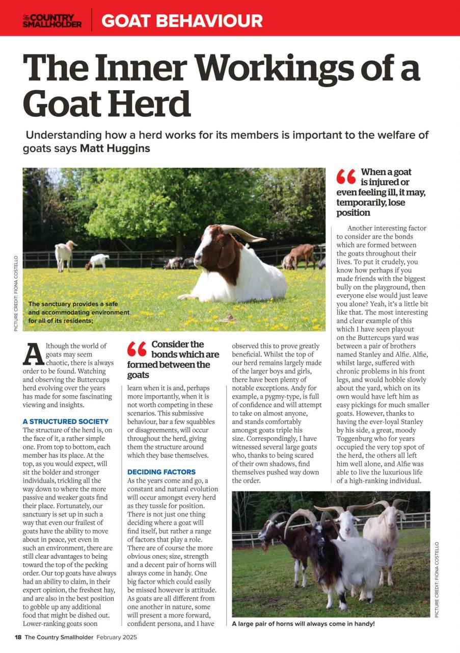 The Country Smallholder Preview Pages