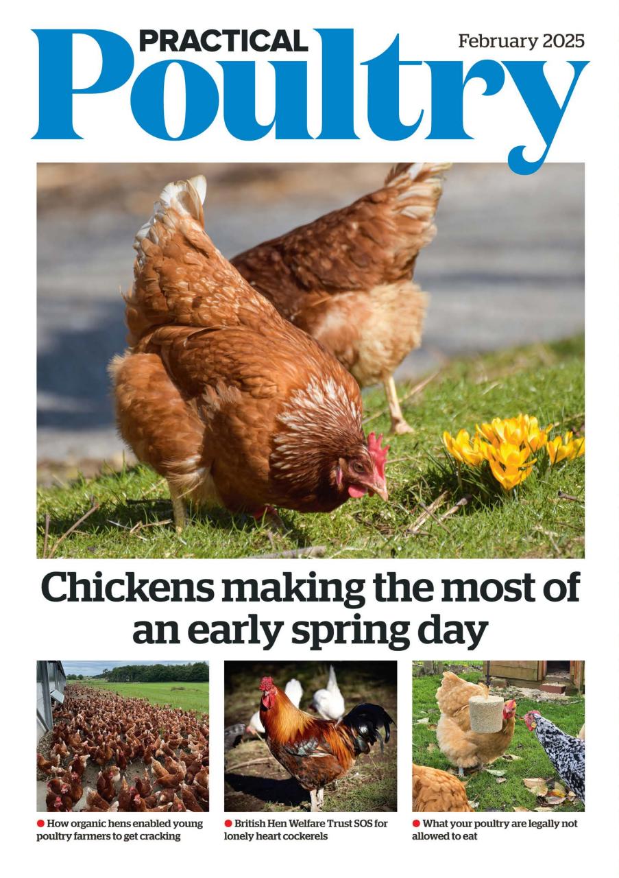 The Country Smallholder Preview Pages