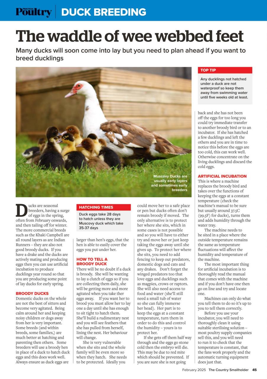 The Country Smallholder Preview Pages