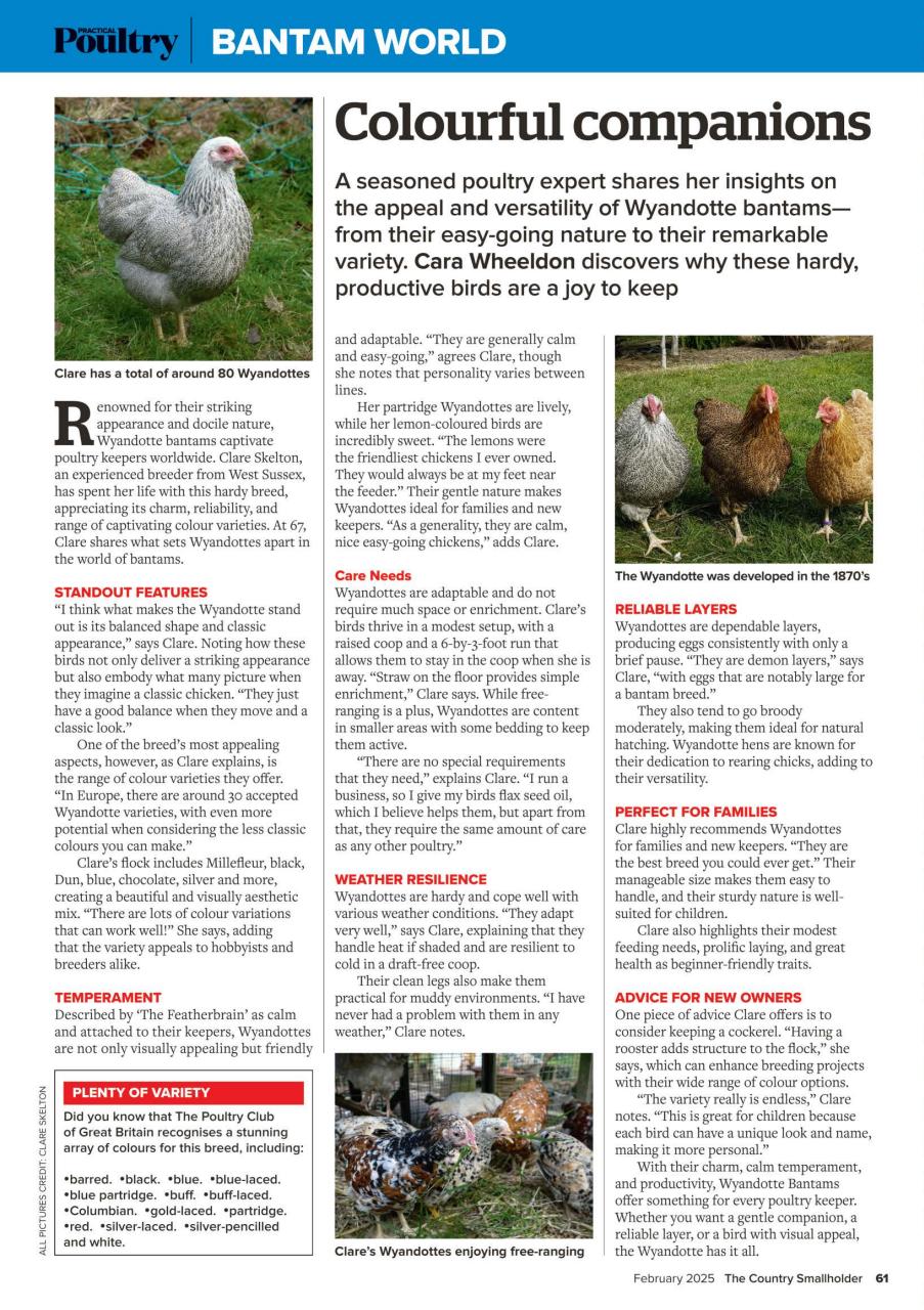 The Country Smallholder Preview Pages