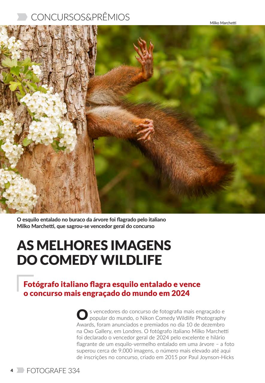 Fotografe Preview Pages