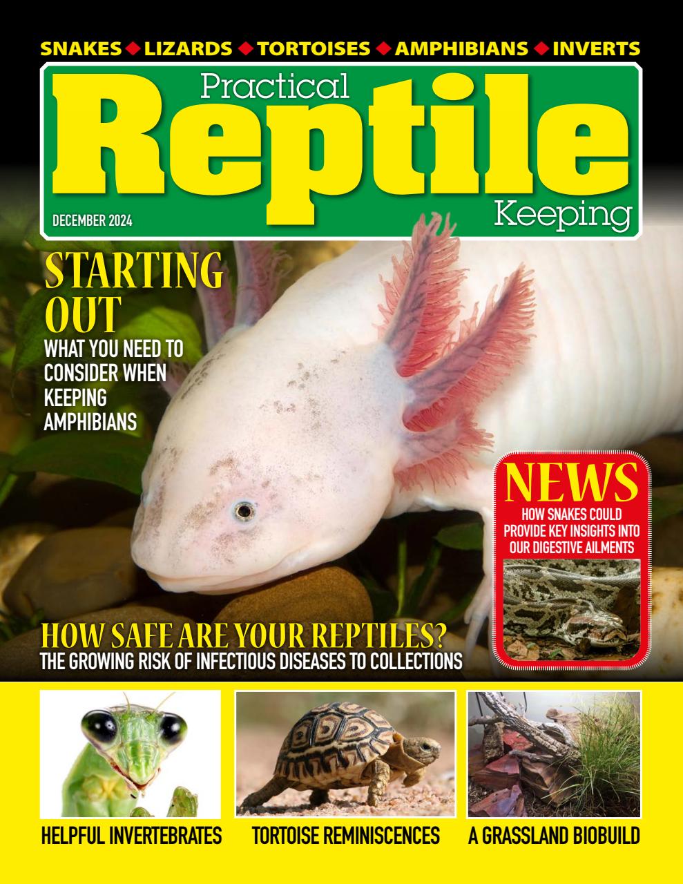 Practical Reptile Keeping Preview Pages