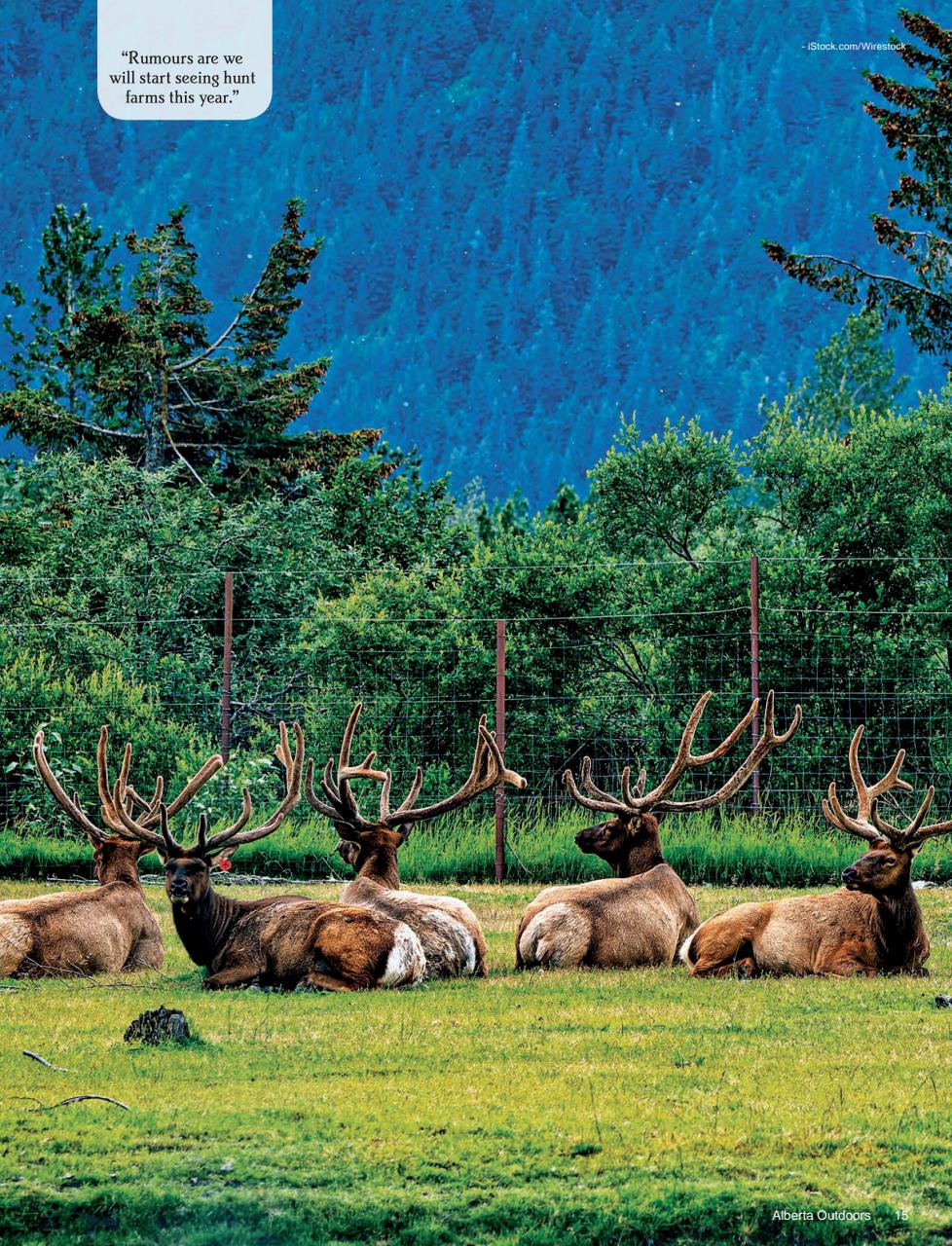 Alberta Outdoors Preview Pages