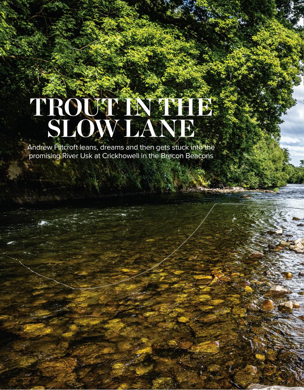 Trout & Salmon Preview Pages