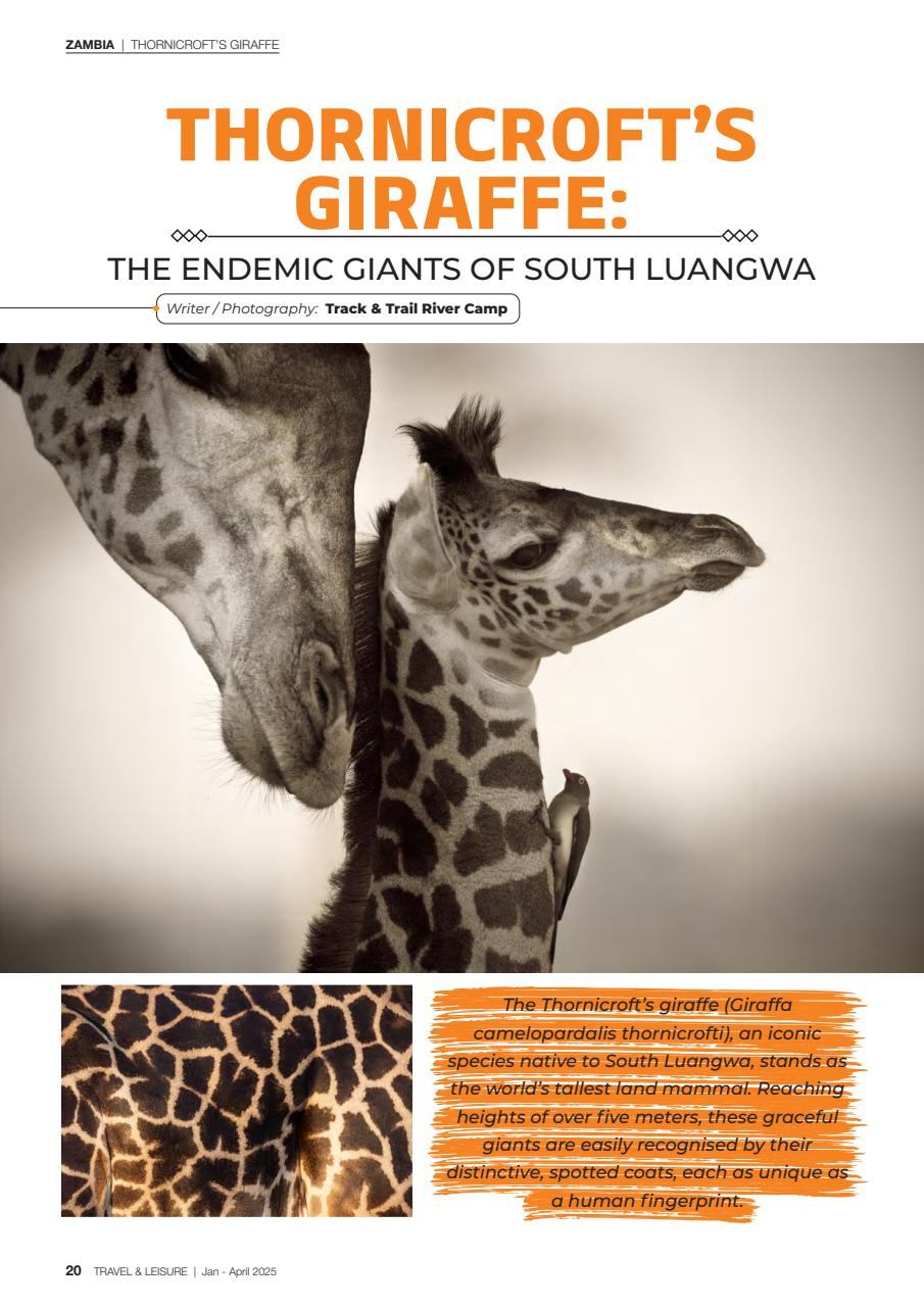 Travel & Leisure Zambia & Zimbabwe Preview Pages