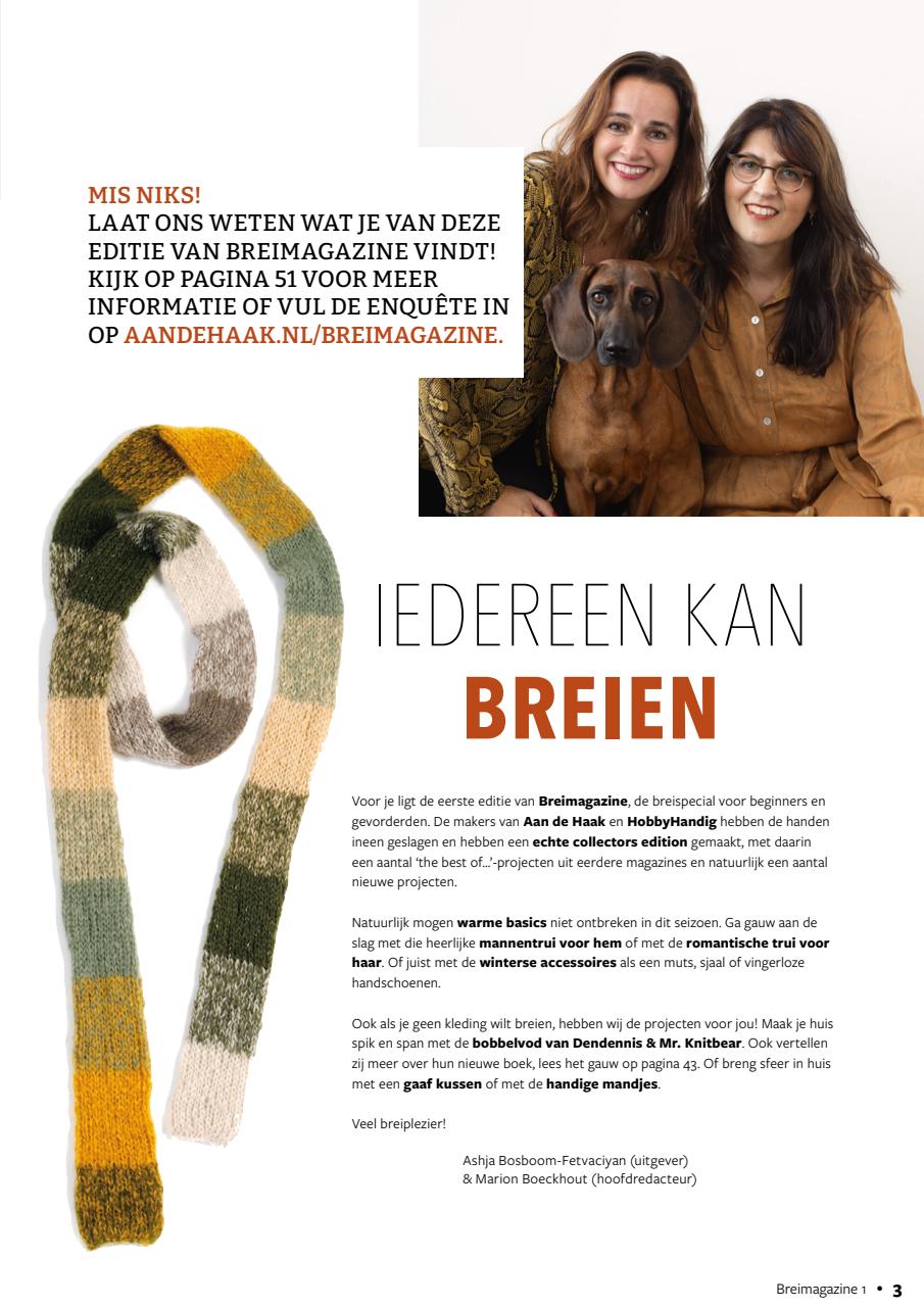 Breimagazine Preview Pages