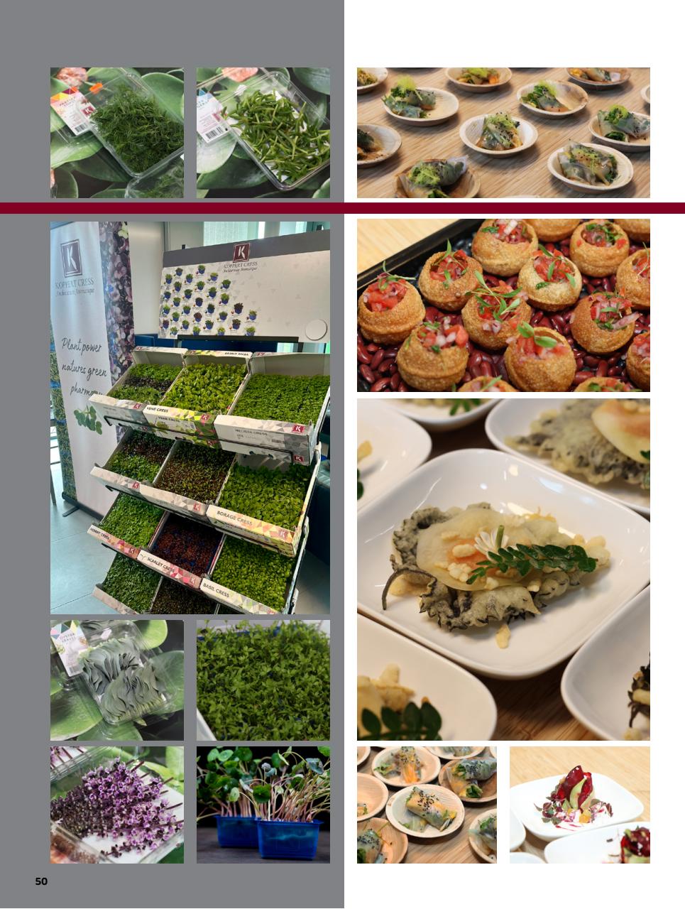 Chef & Restaurant Magazine Preview Pages