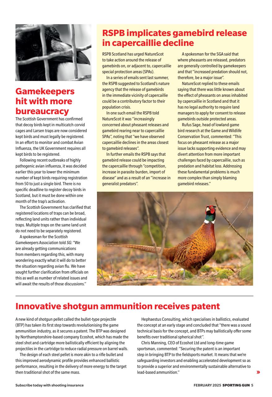 Sporting Gun Preview Pages