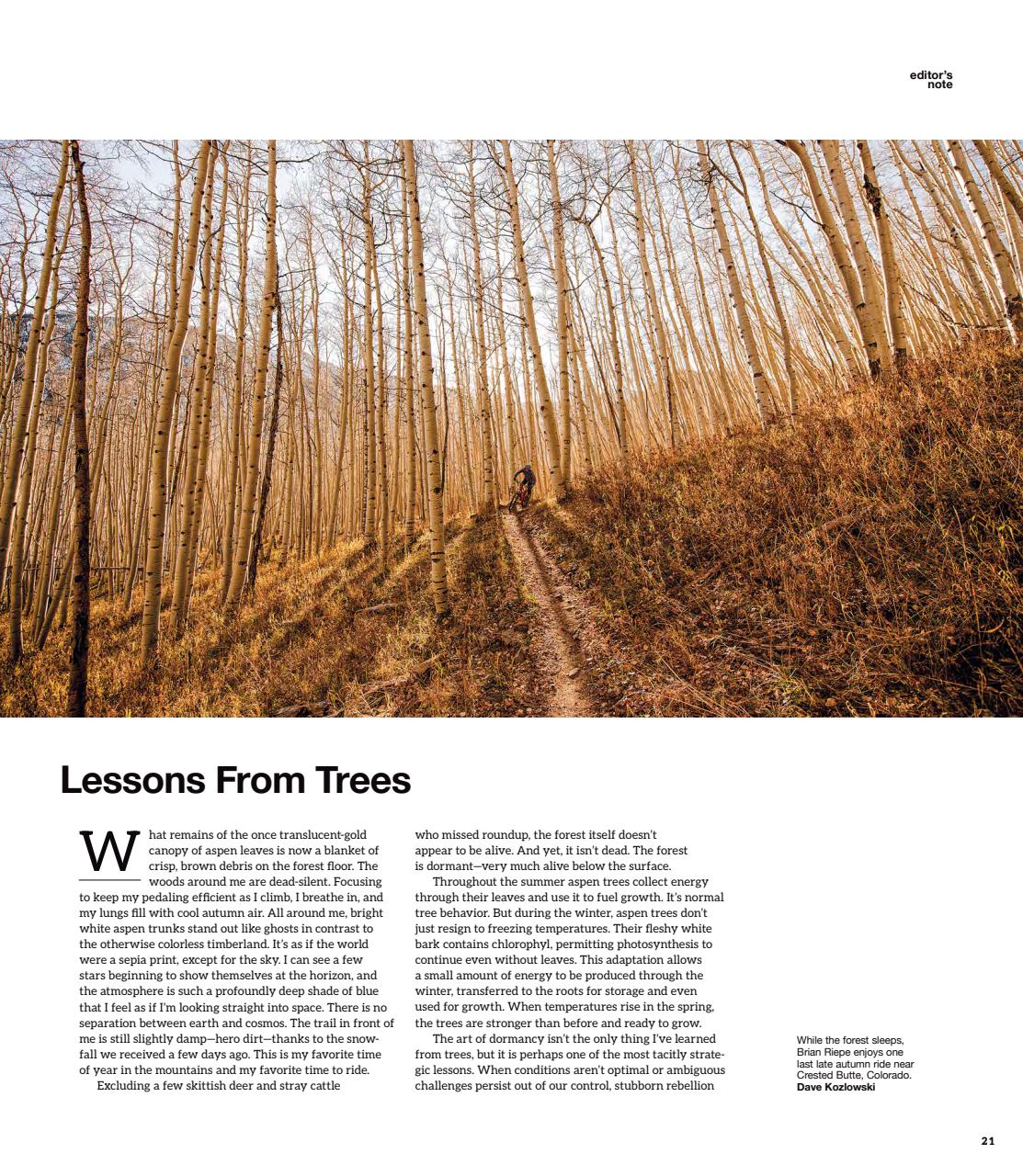 Mountain Flyer Preview Pages