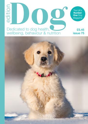 Edition Dog issue 