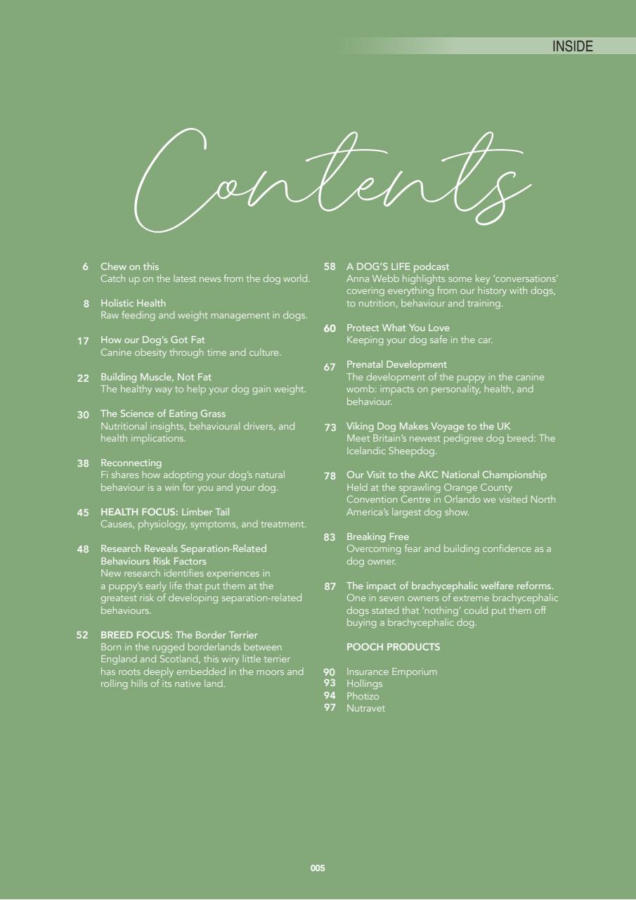 Edition Dog Preview Pages