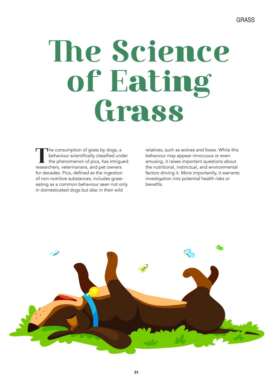 Edition Dog Preview Pages