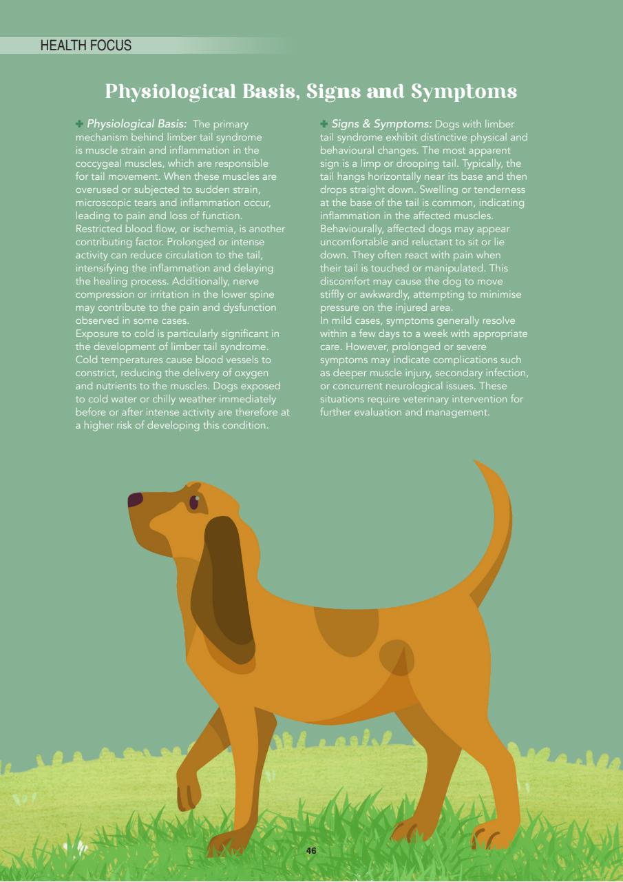 Edition Dog Preview Pages