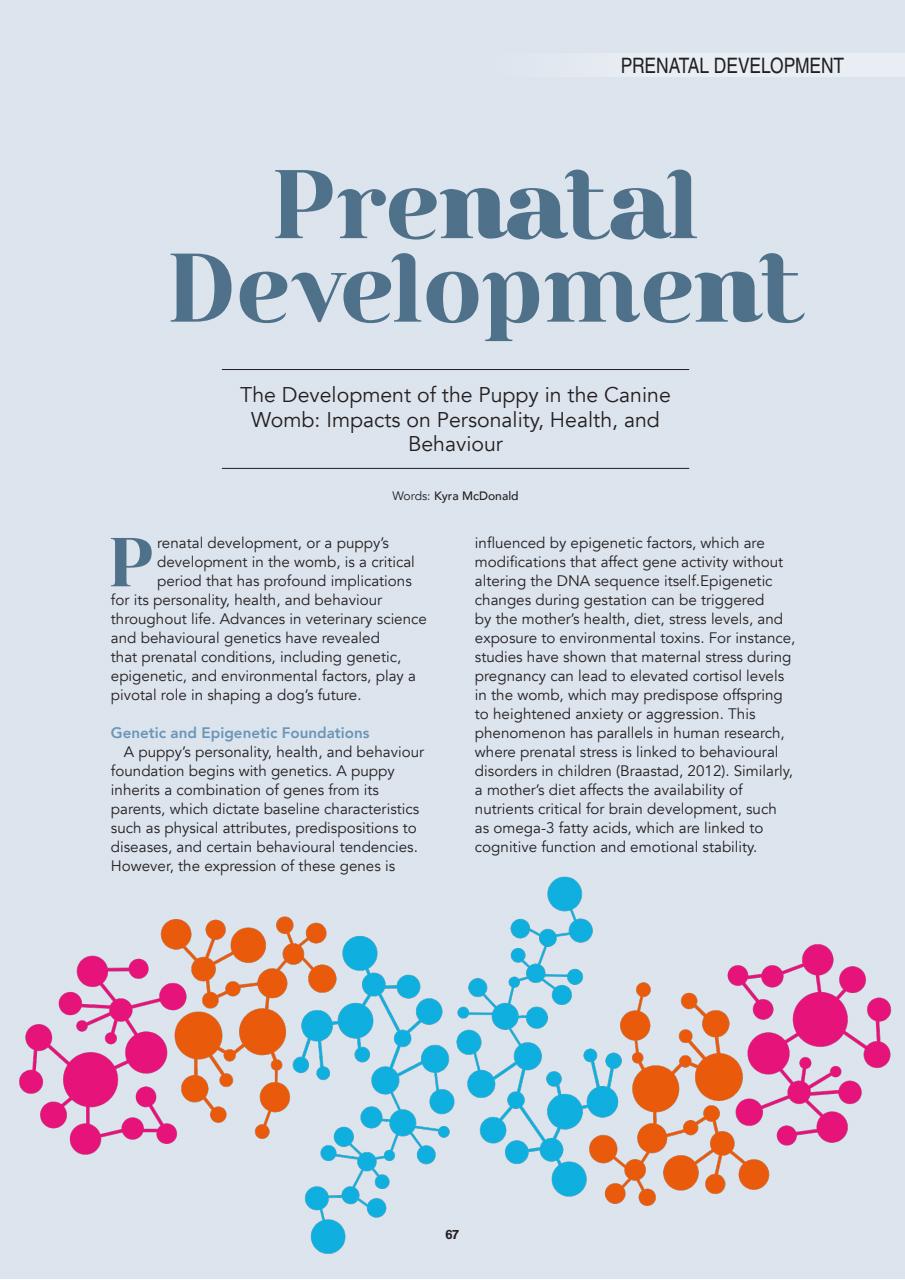 Edition Dog Preview Pages