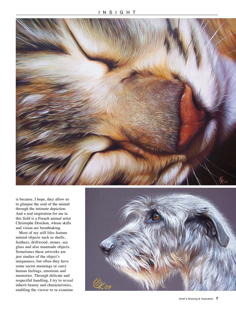 Australian Drawing and Inspiration Preview Pages