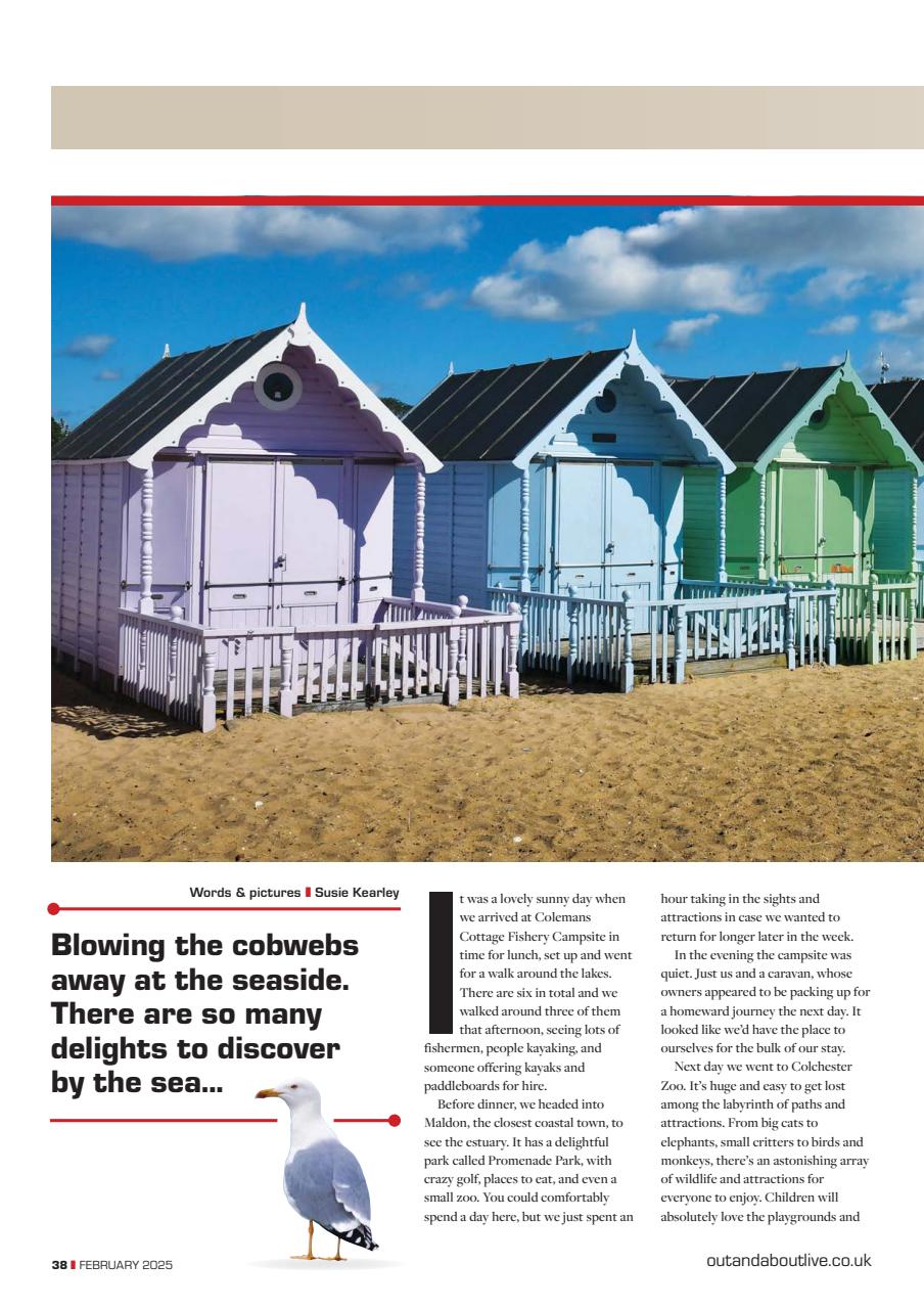 Campervan Preview Pages