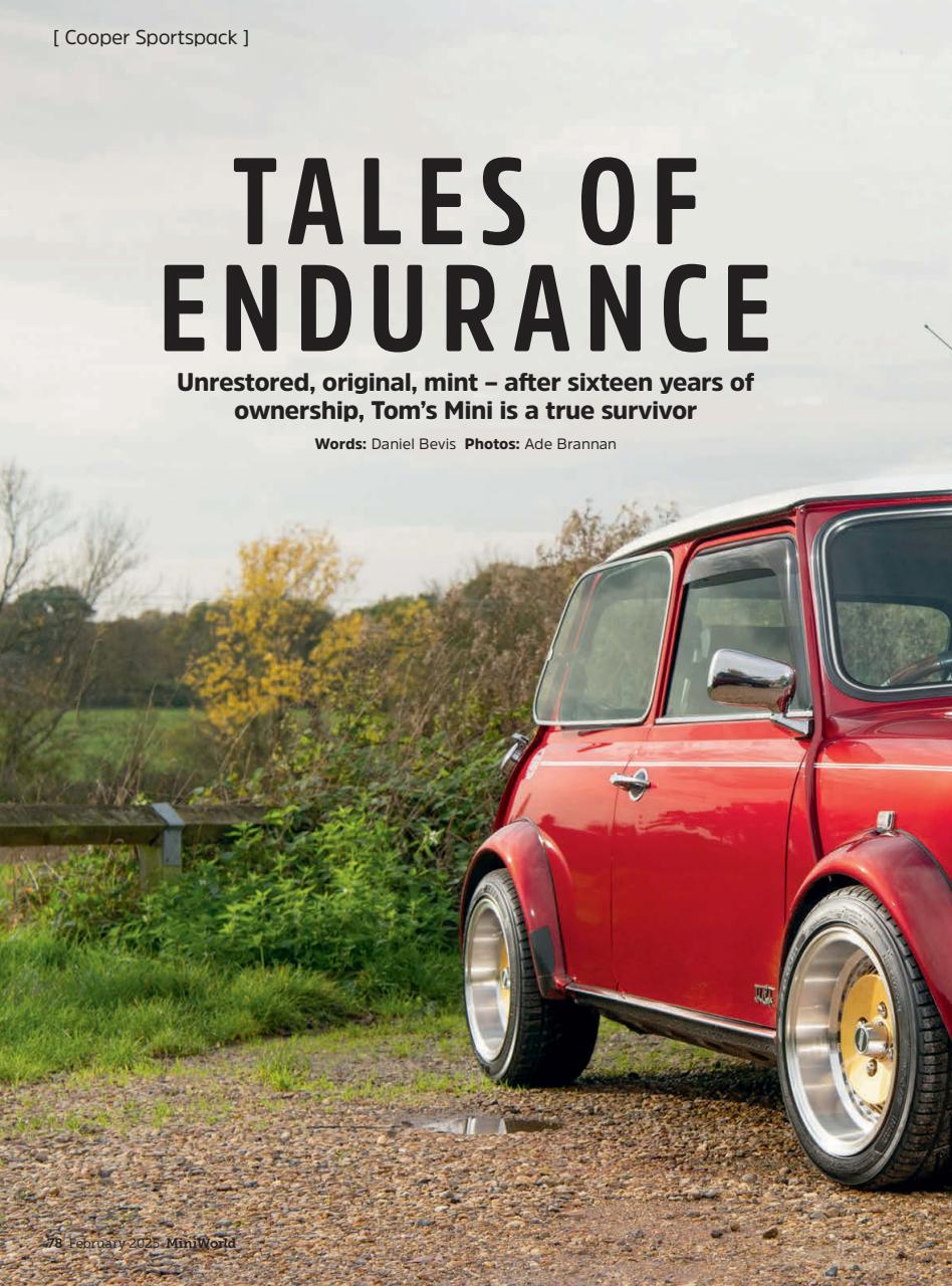 Mini World Preview Pages