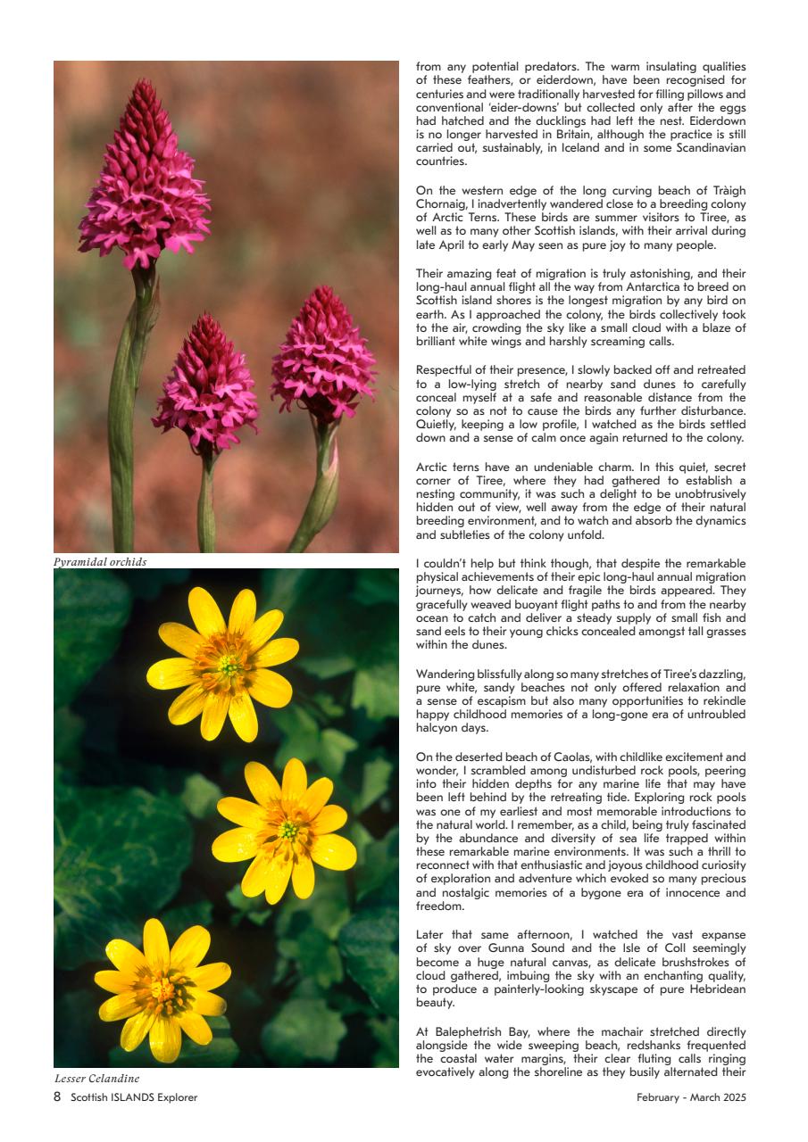 Scottish Islands Explorer Preview Pages