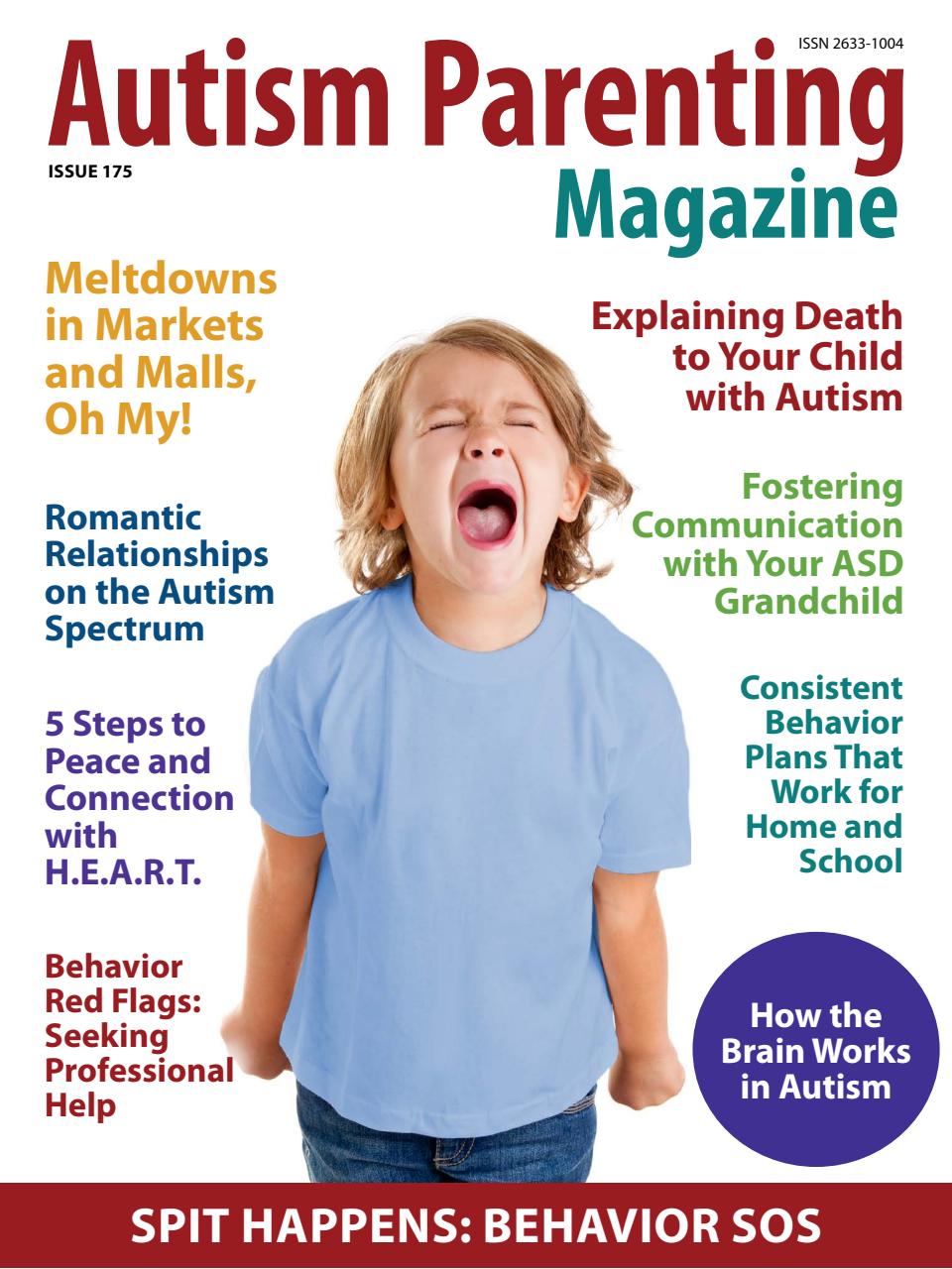 Autism Parenting Preview Pages