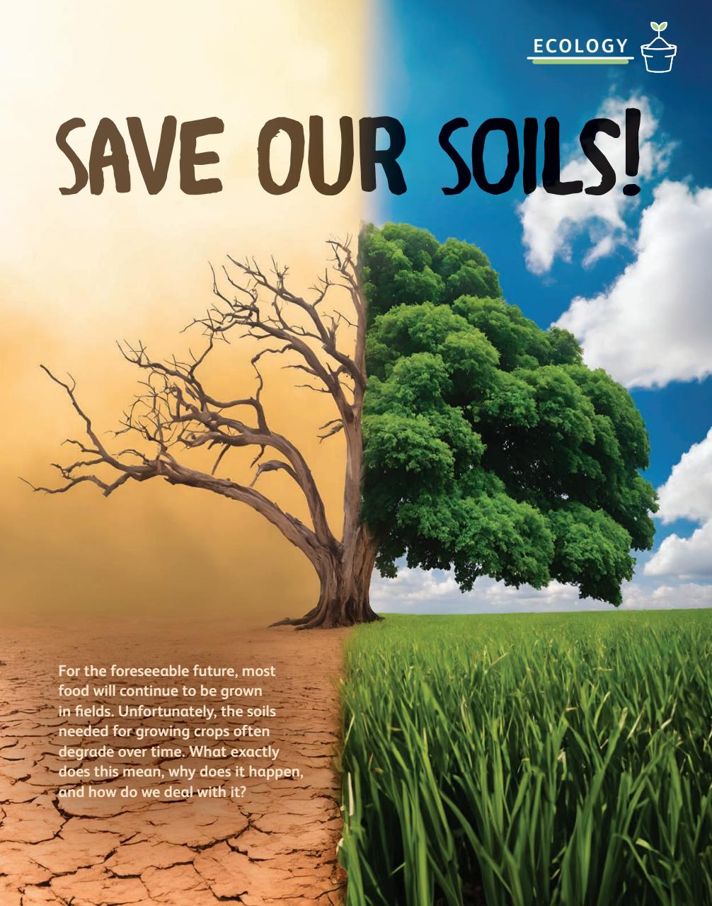 OYLA Magazine Preview Pages