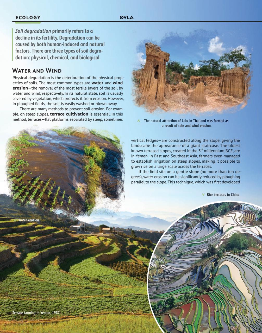 OYLA Magazine Preview Pages