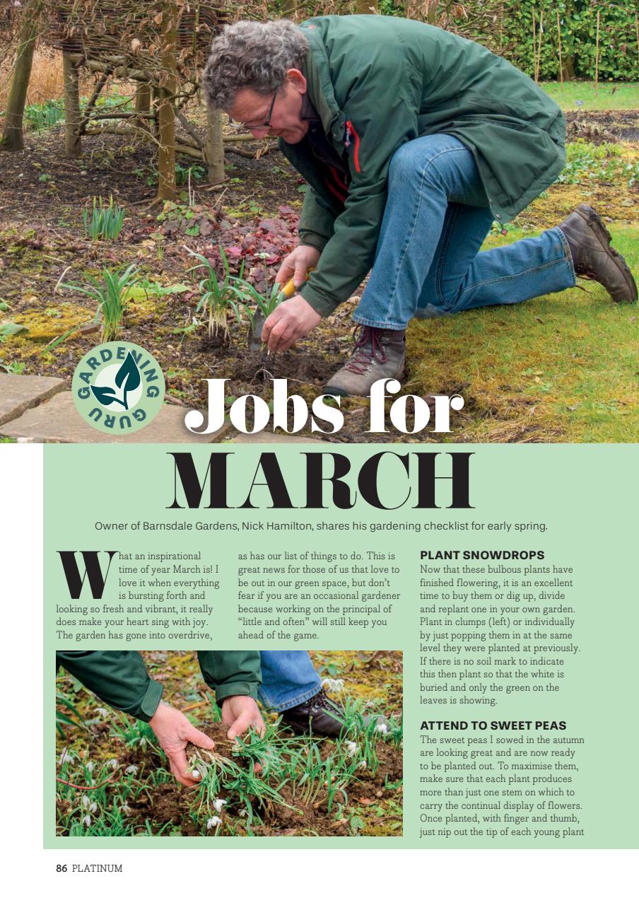 Platinum Preview Pages