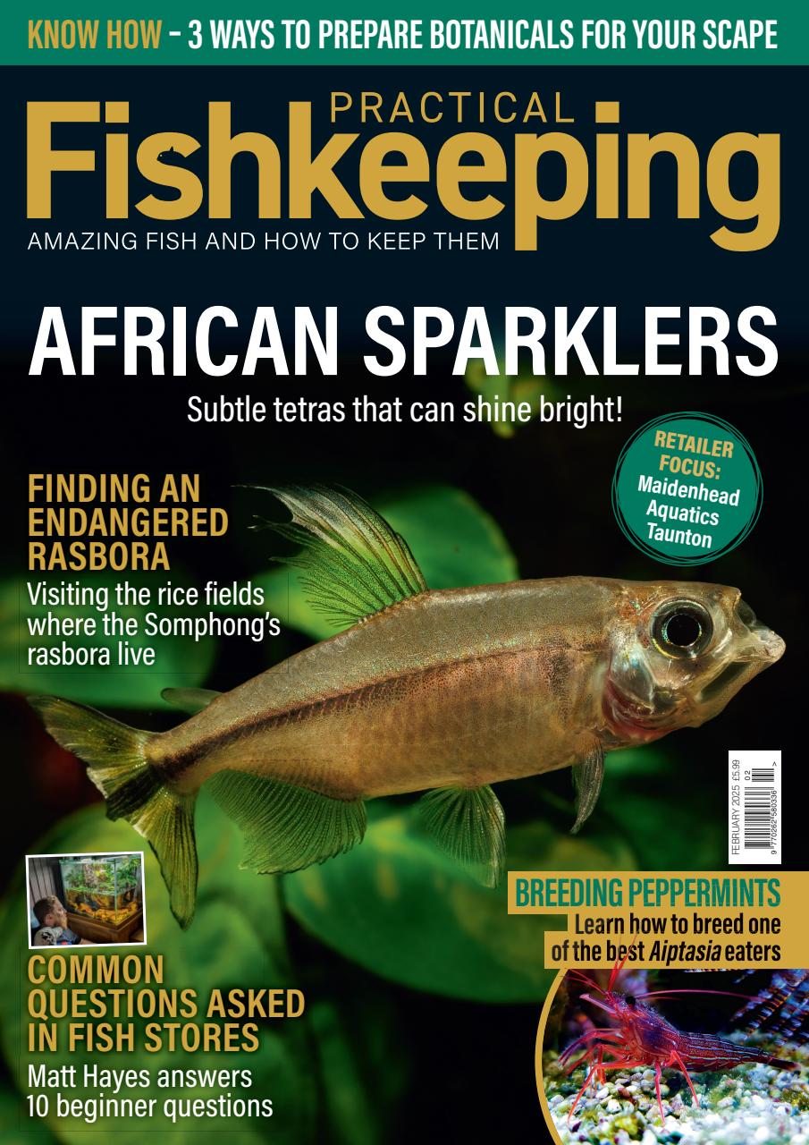Practical Fishkeeping Preview Pages