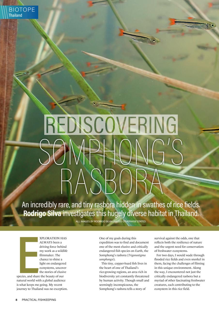 Practical Fishkeeping Preview Pages