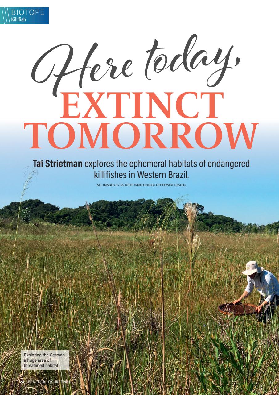 Practical Fishkeeping Preview Pages