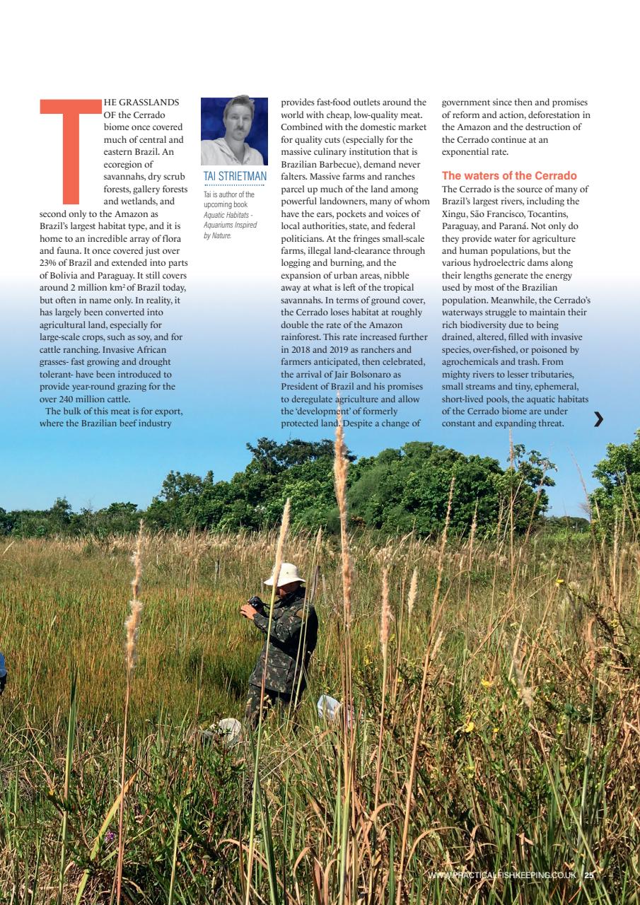 Practical Fishkeeping Preview Pages